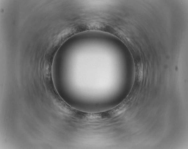 X0000089360619200706151135