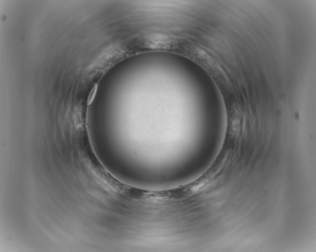 X0000089360620200706151135