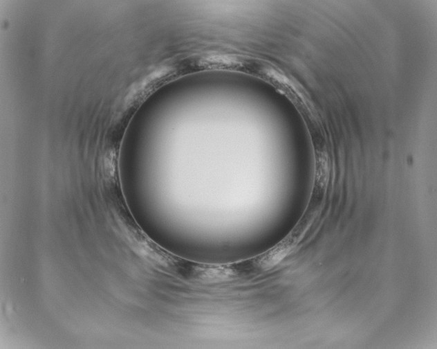 X0000089360621200706151135