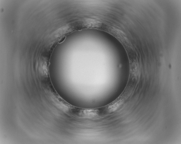 X0000089360622200706151135