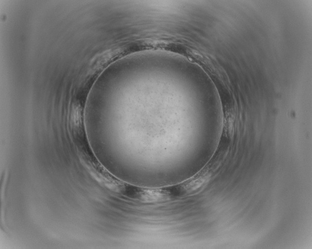 X0000089360623200706151135