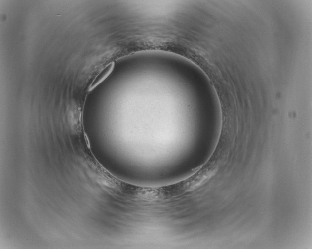 X0000089360624200706151135