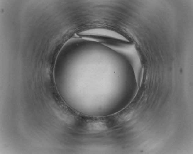 X0000089360643200706151134