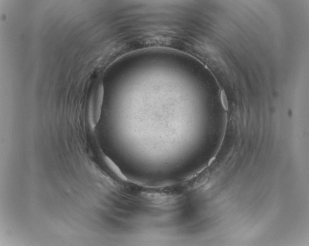 X0000089360649200706151134