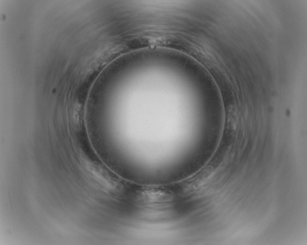 X0000089360650200706151134