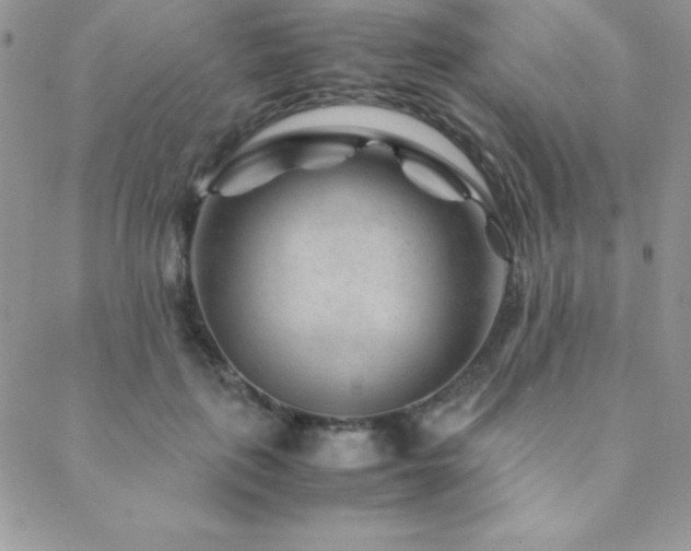 X0000089360651200706151134