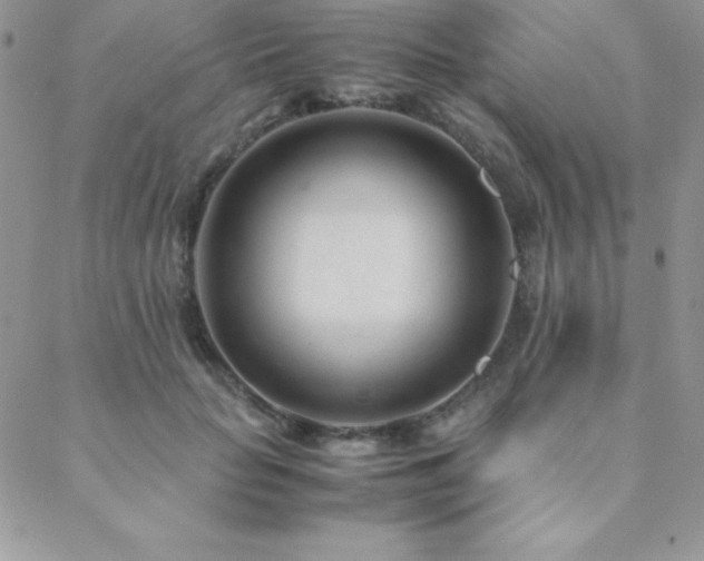 X0000089360653200706151135