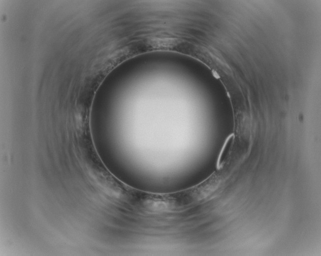 X0000089360655200706151135