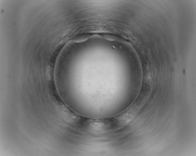 X0000089360658200706151135