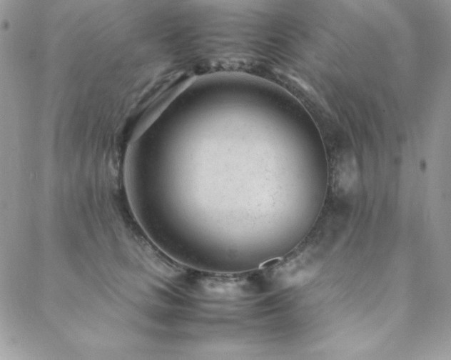 X0000089360661200706151135