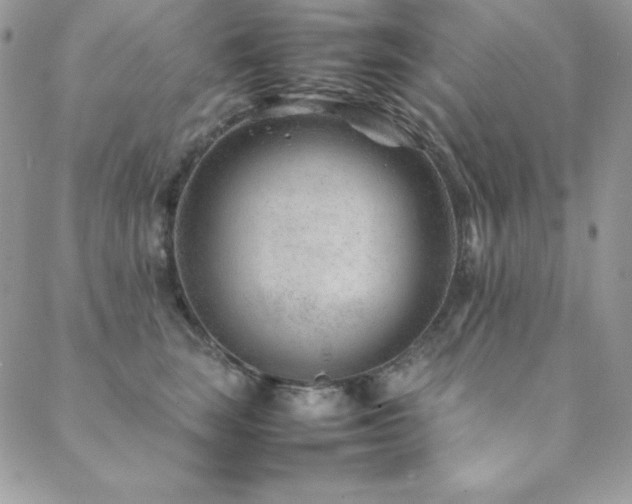 X0000089360663200706151135