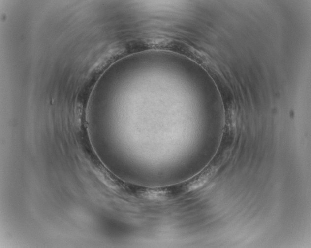 X0000089360664200706151135