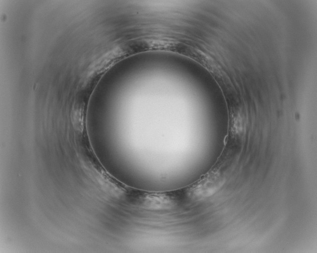 X0000089360666200706151135