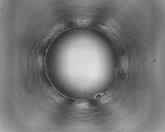 X0000089360667200706151135