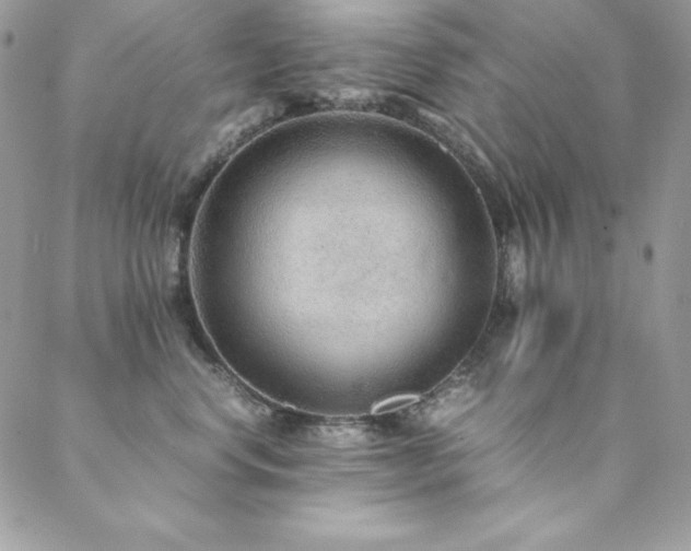 X0000089360668200706151135