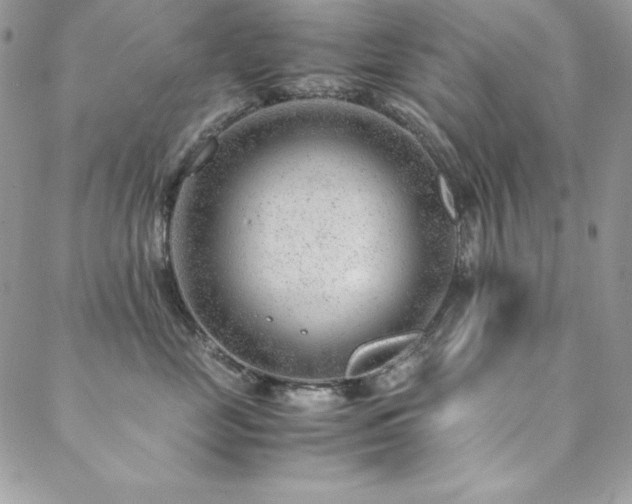 X0000089360669200706151135