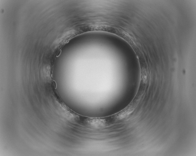 X0000089360670200706151135