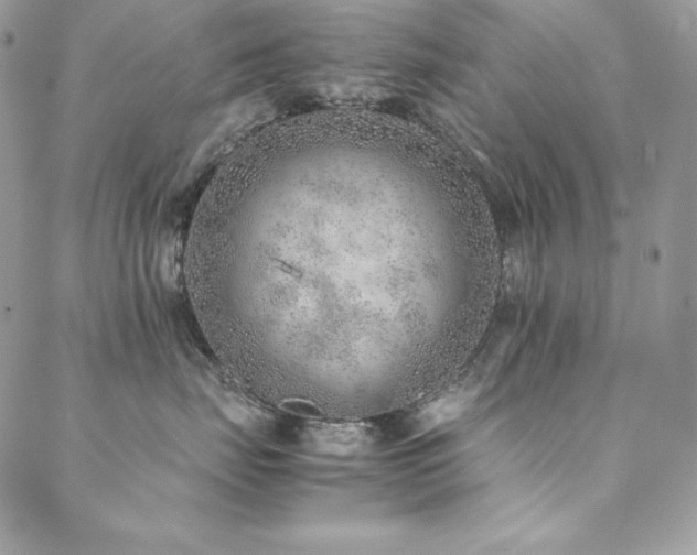 X0000089360671200706151135