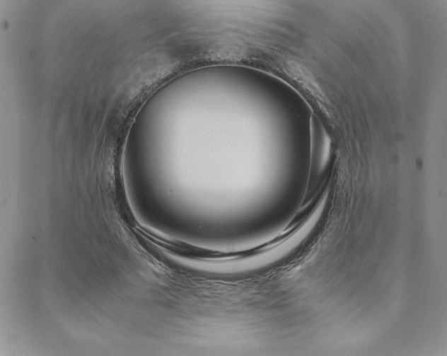 X0000089360681200706151134