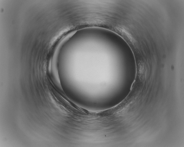X0000089360684200706151134