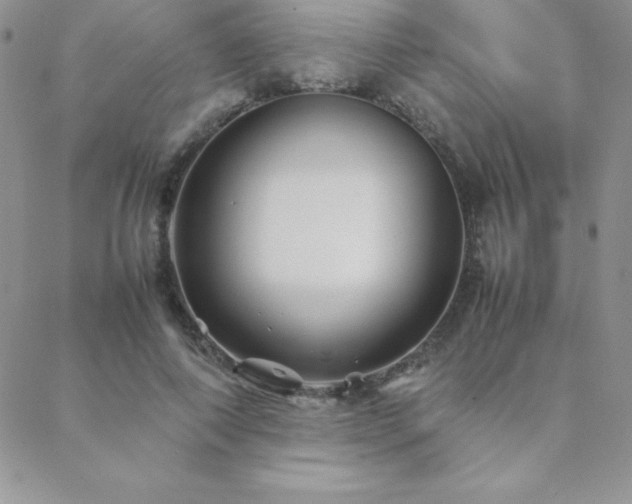X0000089360690200706151134