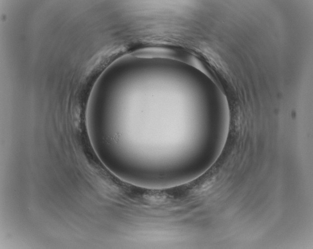 X0000089360693200706151134