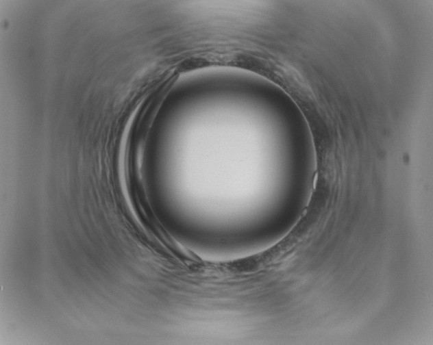 X0000089360697200706151134