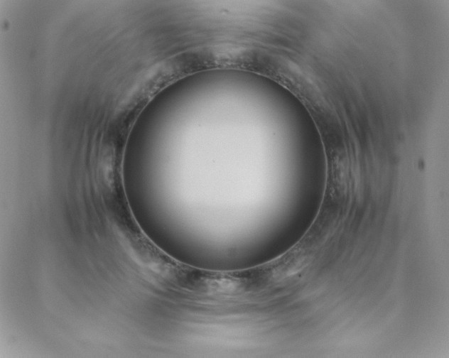X0000089360698200706151134