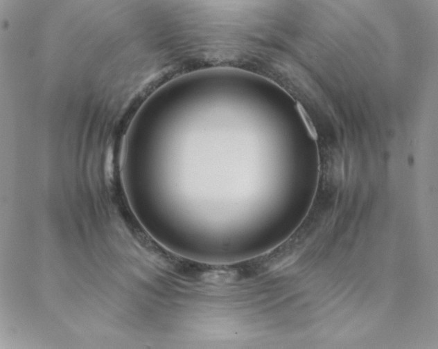X0000089360700200706151134
