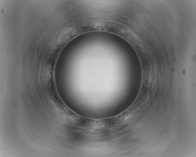X0000089360702200706151134