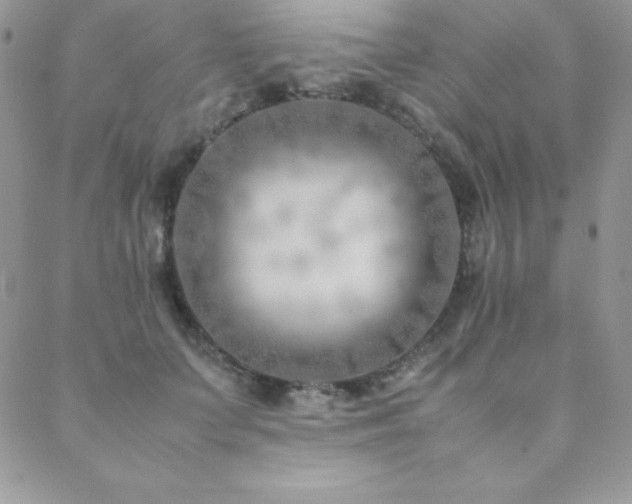 X0000089360703200706151134