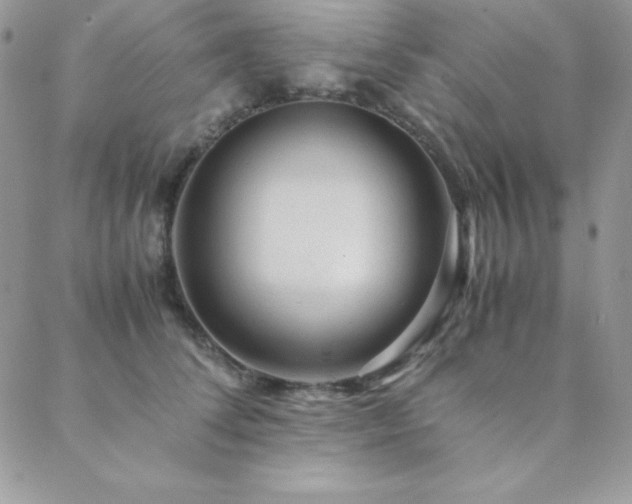 X0000089360708200706151133
