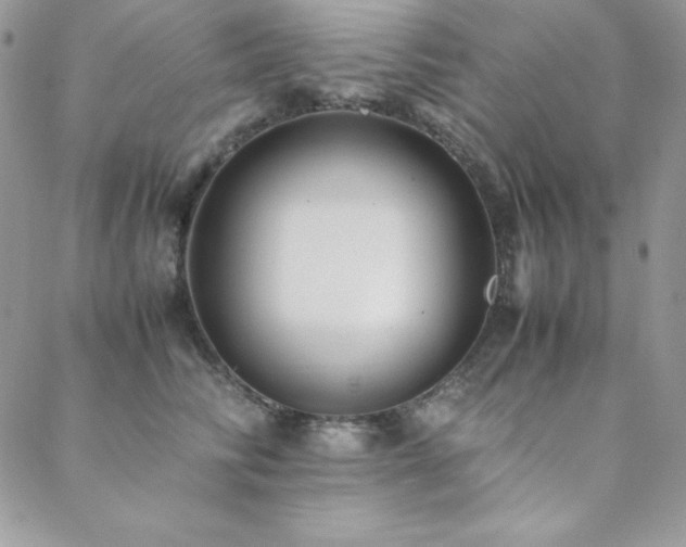 X0000089360710200706151133