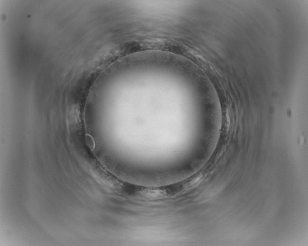 X0000089360711200706151133