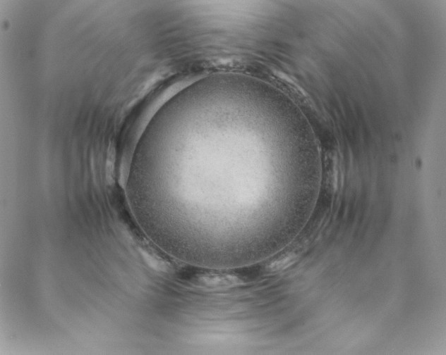 X0000089360712200706151133