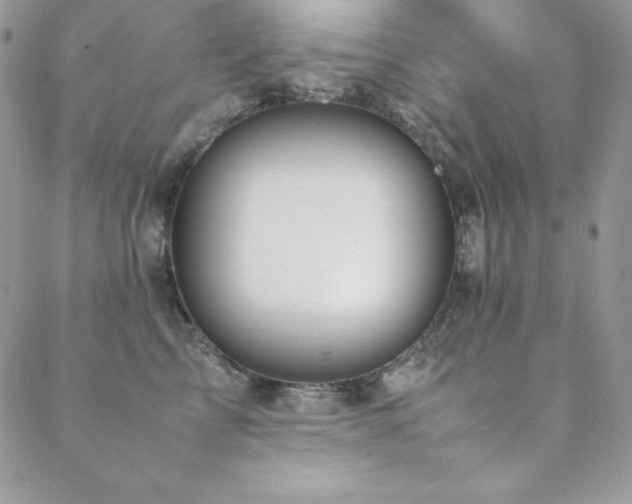 X0000089360713200706151133