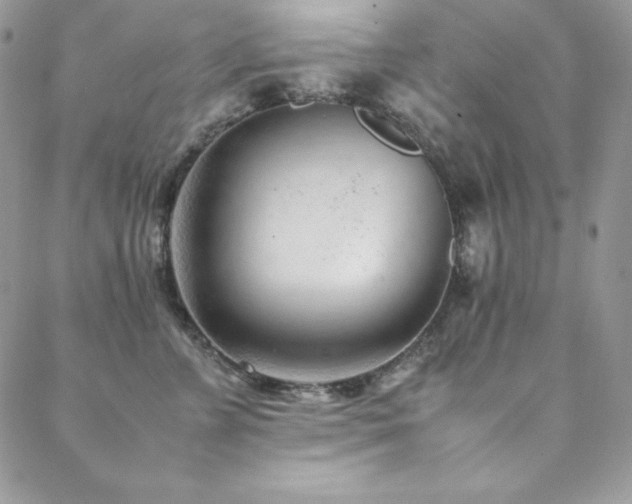 X0000089360715200706151133