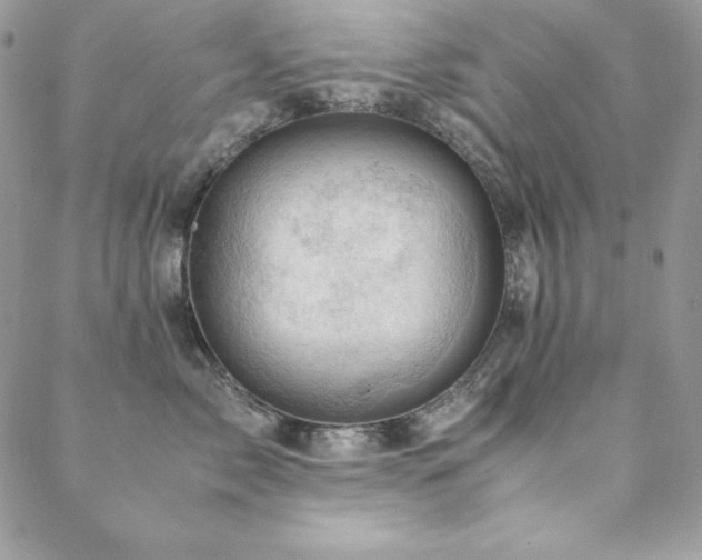 X0000089360717200706151133