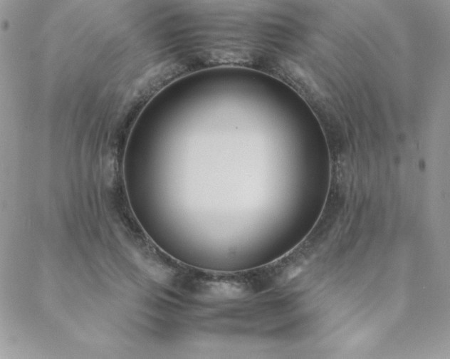 X0000089360741200706151133