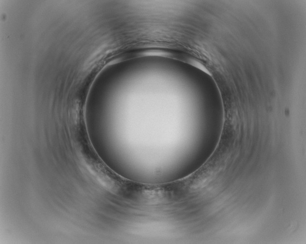 X0000089360744200706151133