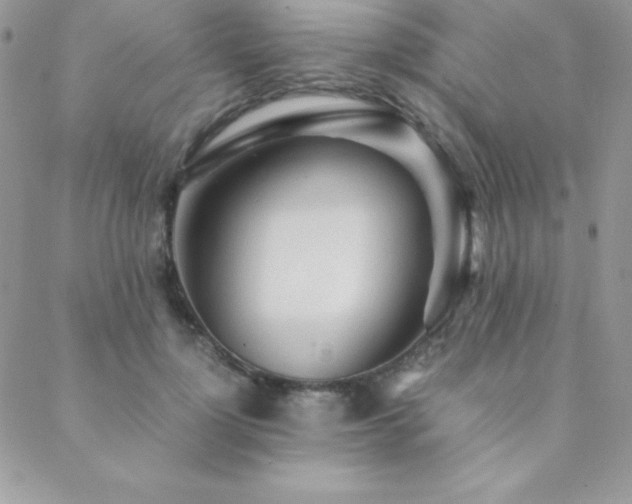 X0000089360748200706151133