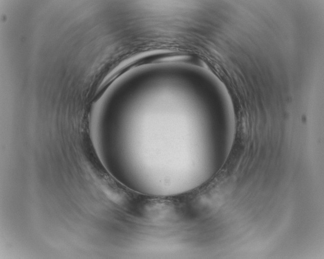X0000089360750200706151133