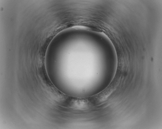 X0000089360751200706151133
