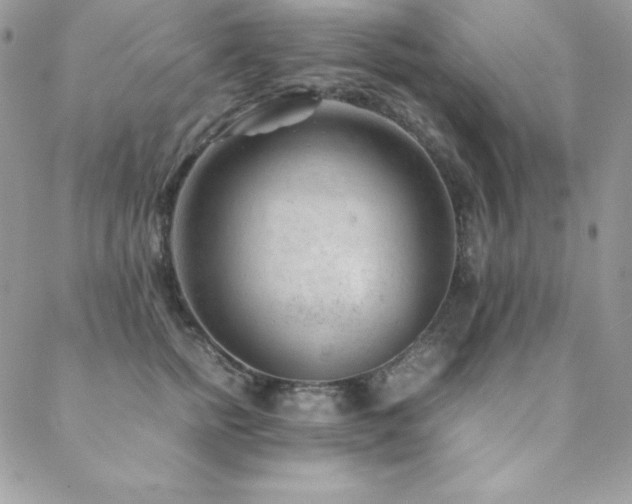 X0000089360758200706151133