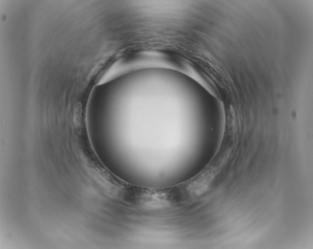 X0000089360760200706151133