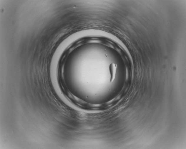 X0000089360762200706151133