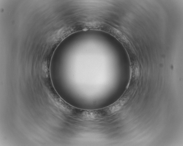 X0000089360764200706151133