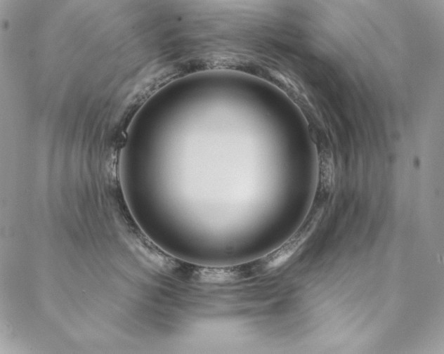 X0000089360766200706151133