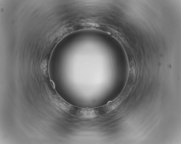 X0000089360767200706151133