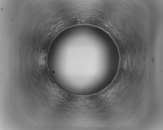 X0000089360770200706151132